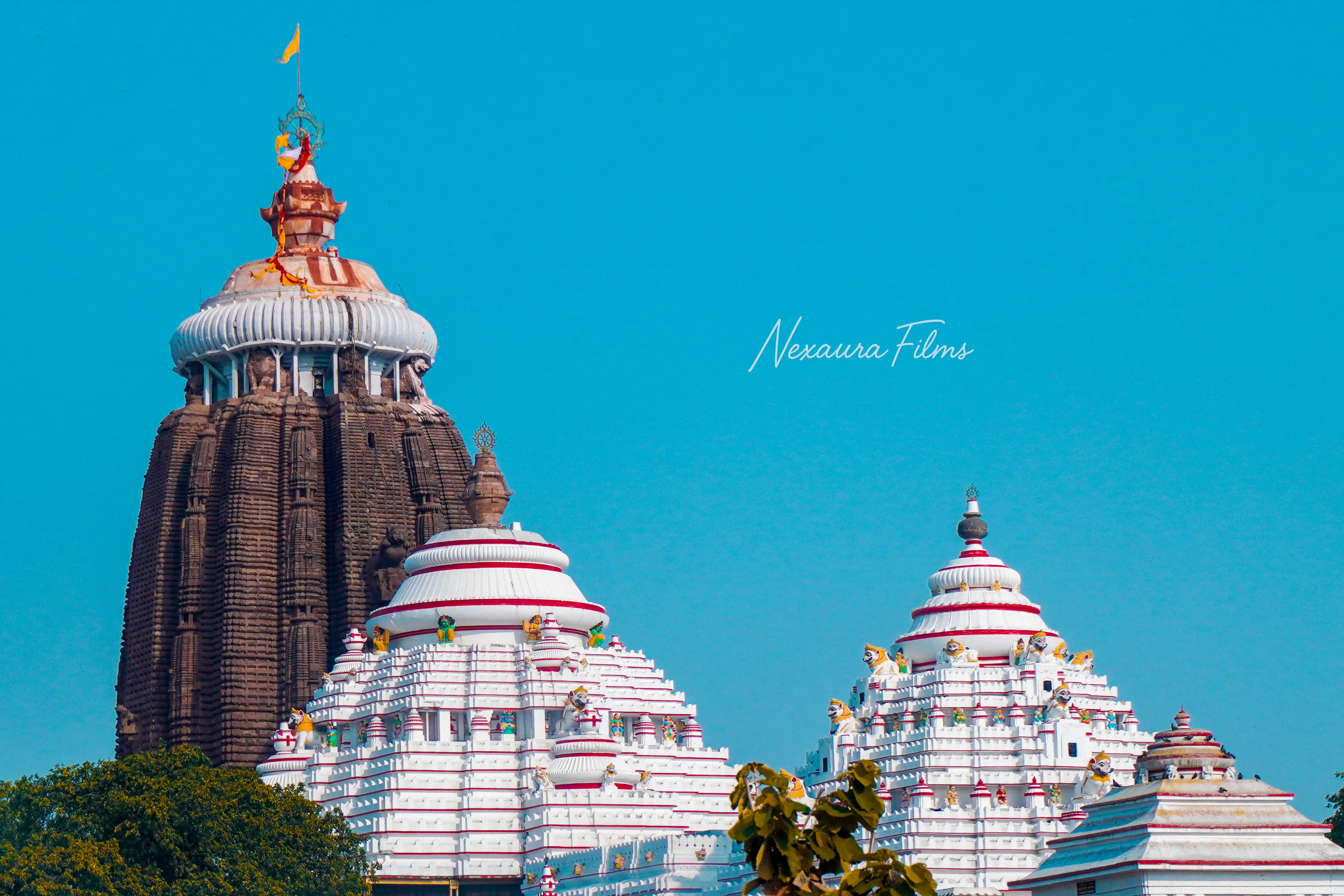 JAY JAGANNATH